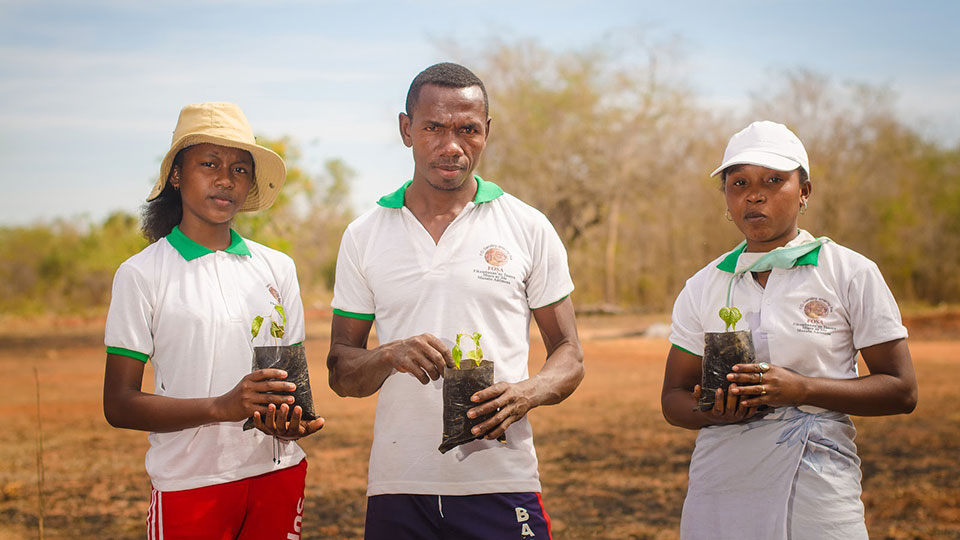 A youth group in western Madagascar is leading the charge to protect and reforest the threatened Menabe dry forests.