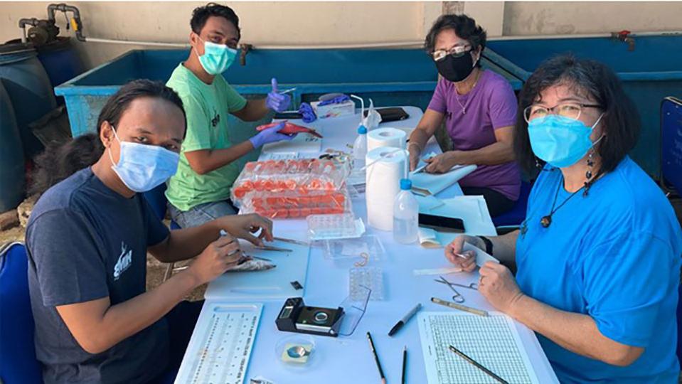 支持印尼渔业科学家在帕提穆拉大学组织学实验室处理鱼类标本